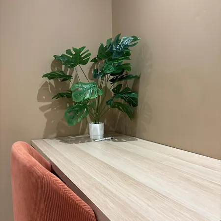 L'olivier - Cozy Au Centre De