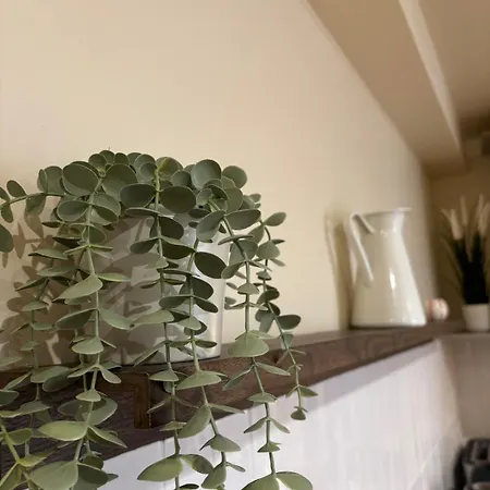 Apartment L'olivier - Cozy Au Centre De *