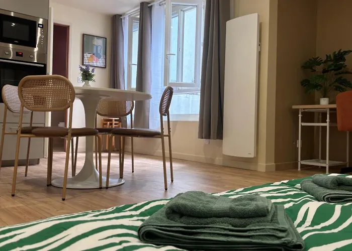 L'olivier - Cozy Au Centre De Apartment Poitiers