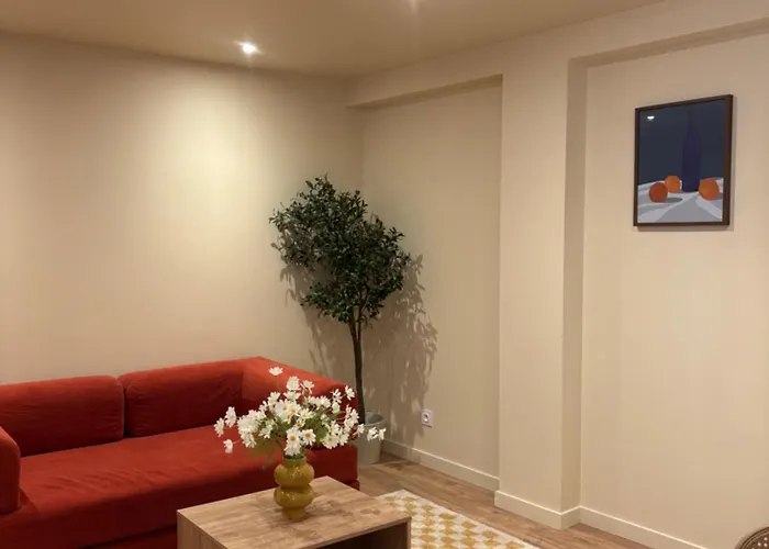 Apartment L'olivier - Cozy Au Centre De Poitiers