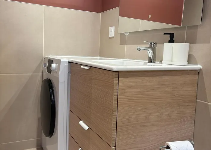 L'olivier - Cozy Au Centre De Apartment Poitiers