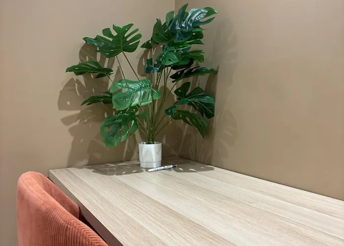 L'olivier - Cozy Au Centre De