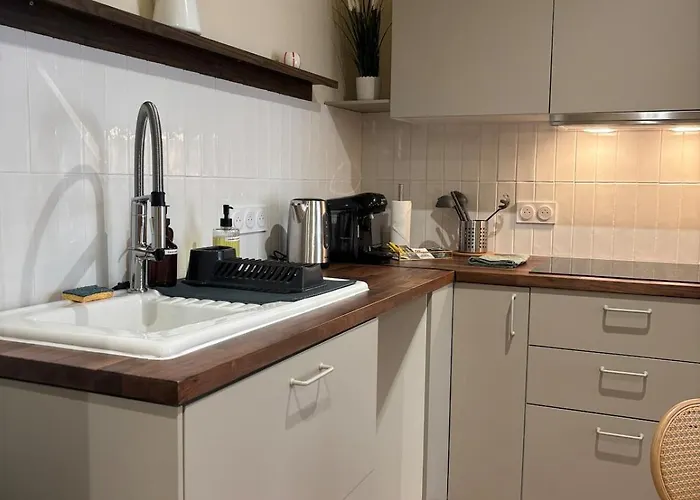 Apartment L'olivier - Cozy Au Centre De Poitiers