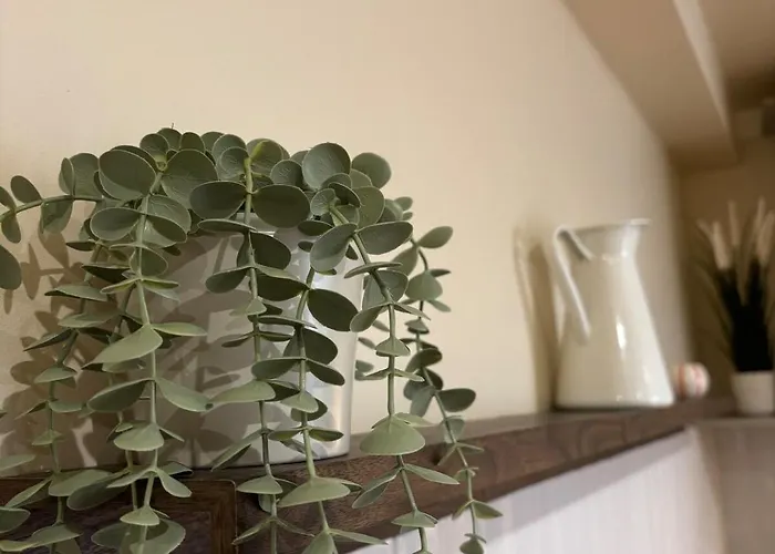 Apartment L'olivier - Cozy Au Centre De *